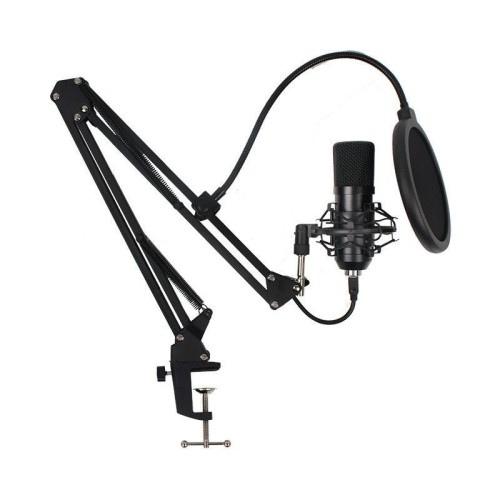 Professional Microphone Set