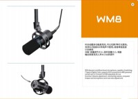 WMB Microphone